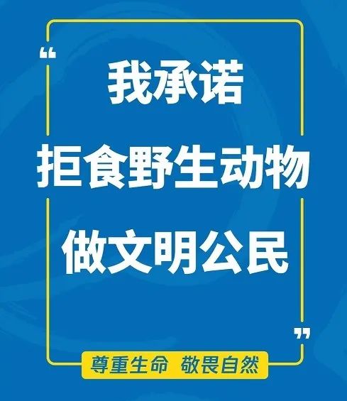 200918拒食野生动物，争做文明公民 (1).jpg