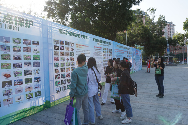 201203江门市自然资源局组织开展野生动物?；呱址阑鹦疃?(6).jpg