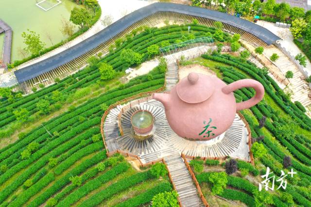 巨型茶壶是大沙里·欢茶谷的标志。  南方+ 杨兴乐 拍摄