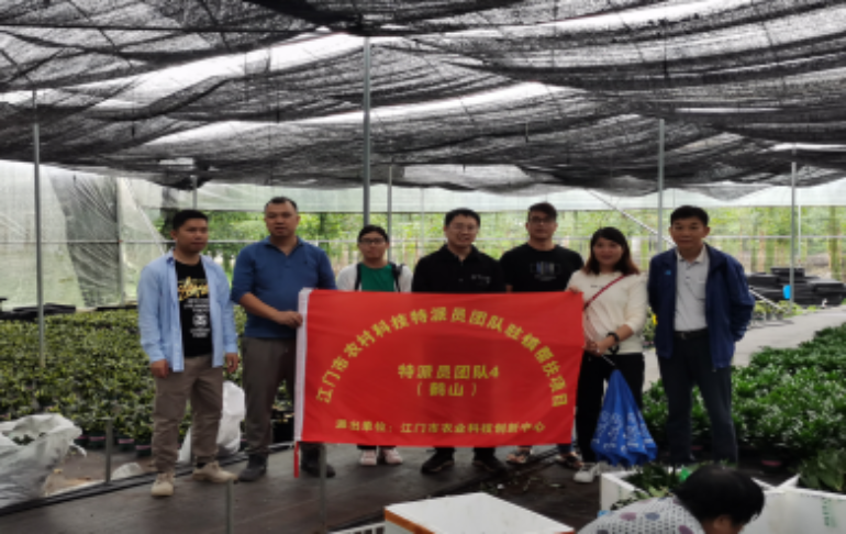 发挥党建引擎作用，江门农村科技特派团队助力乡村产业振兴(2)(1)1217.png