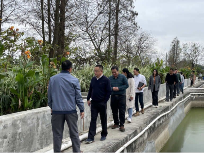 打造养殖尾水净化技术示范，建设水清鱼欢优美生态——江门市水产养殖尾水净化技术试验示范项目顺利通过验收702.png