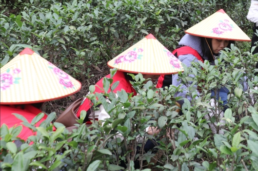 230412江门市自然资源局妇委会开展“巾帼心向党，奋进新征程”三八妇女活动 (5).jpg