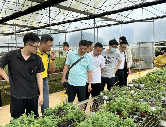 230619市自然资源局机关第四党支部与市测绘大队党支部、市林业有害生物防治检疫管理站党支部开展“党建引领聚合力 绘就绿美新侨都”主题党日活动 (1).png