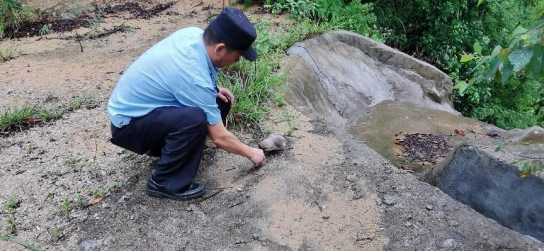 230707广东江门古兜山省级自然?；で戎叶侗；ひ吧?-领角鸮 (2).png
