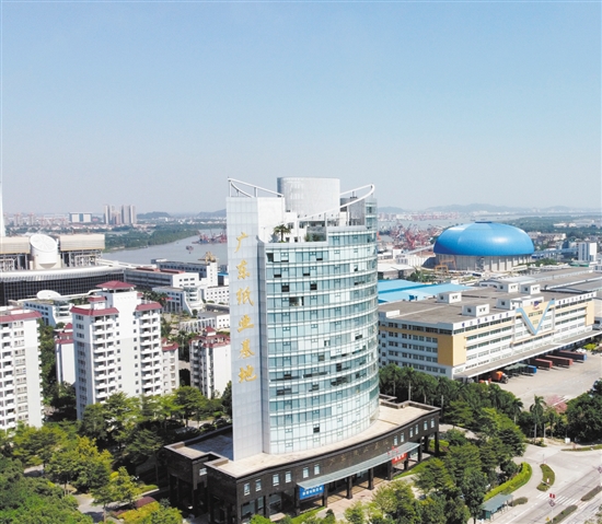 广东纸业基地。