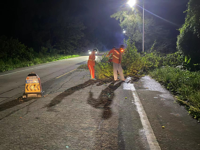 6台山地方公路服务中心大塘道班，9月5日晚上在S274连滩-端芬，安排人员清理倒伏树枝，采取正常通行.jpg