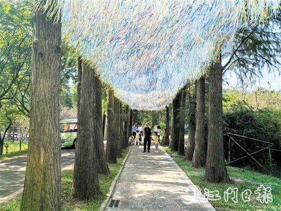圭峰山国家森林公园绿护桃源景区设置了浪漫唯美的“星河天幕”打卡点。