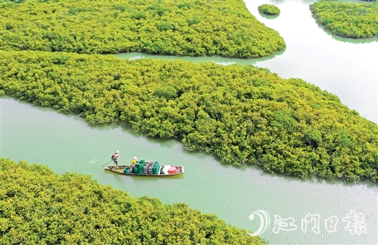 优质丰富的生态资源是恩平的核心优势，也是恩平市推动经济社会高质量发展的重要依托。