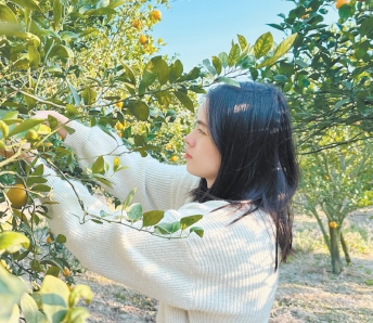 微信截图_20241218091936.png