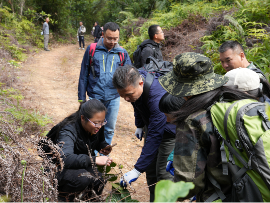 250106加强种质资源?；?夯实生态文明基础——江门市自然资源局召开种质资源调查考察现场会 (2).png