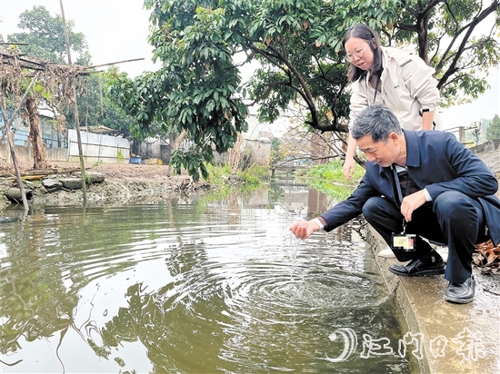 新会区纪检监察干部到双水镇北水村回访，查看水质变化。