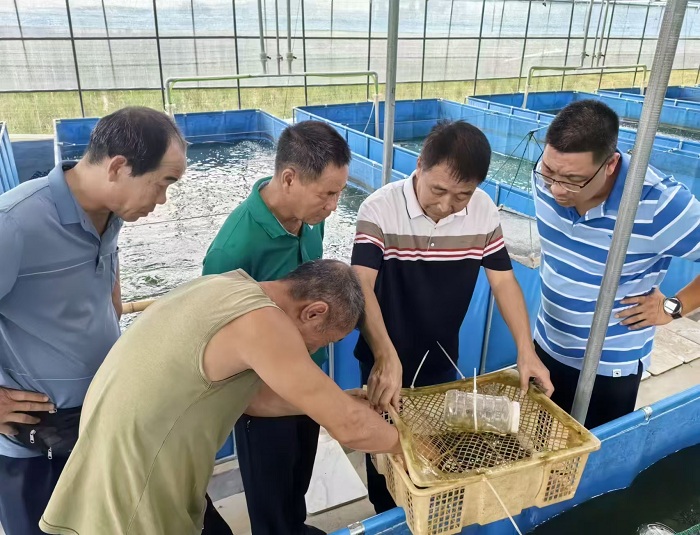 张发志学习养殖技术.jpg