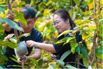 扎根林业二十载 科技兴林谱新篇——江门市林科所刘一贞荣获“广东省劳动模范”称号