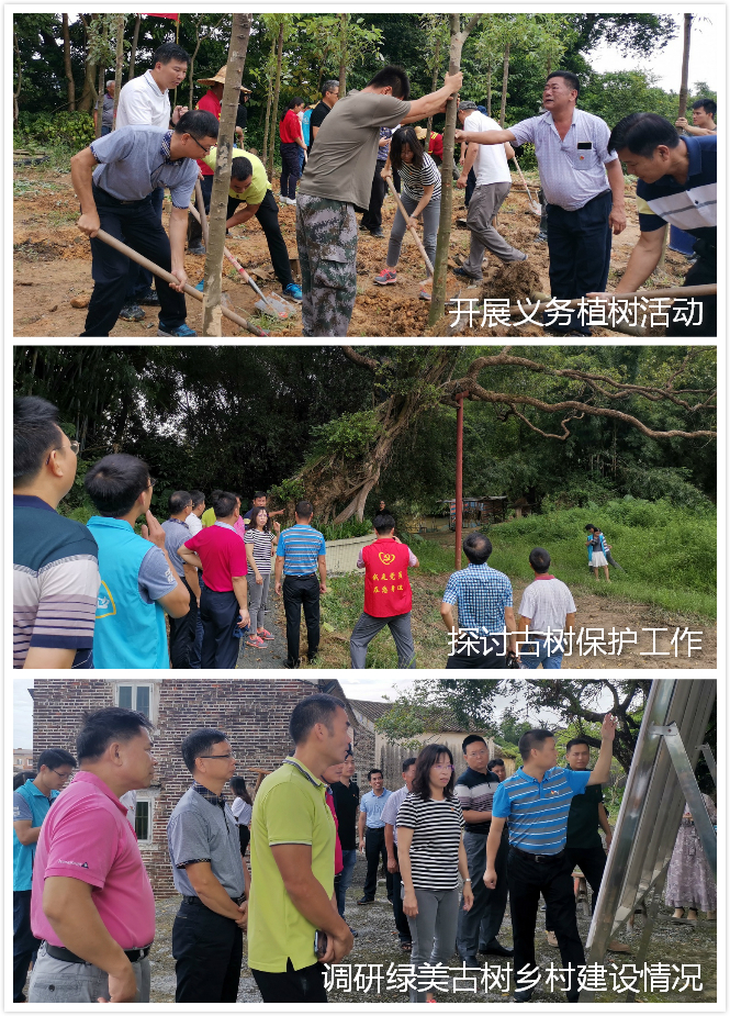 190904省林业局生态?；ば薷创Φ娇绞锌怪魈獾橙栈疃⒌餮猩中≌蚪ㄉ?(1).jpg