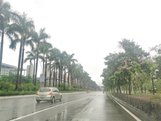 蓬江区发展大道无违规停放机动车。